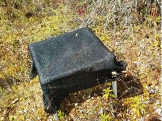 Sphagnum growth plot with shade cloth deployed